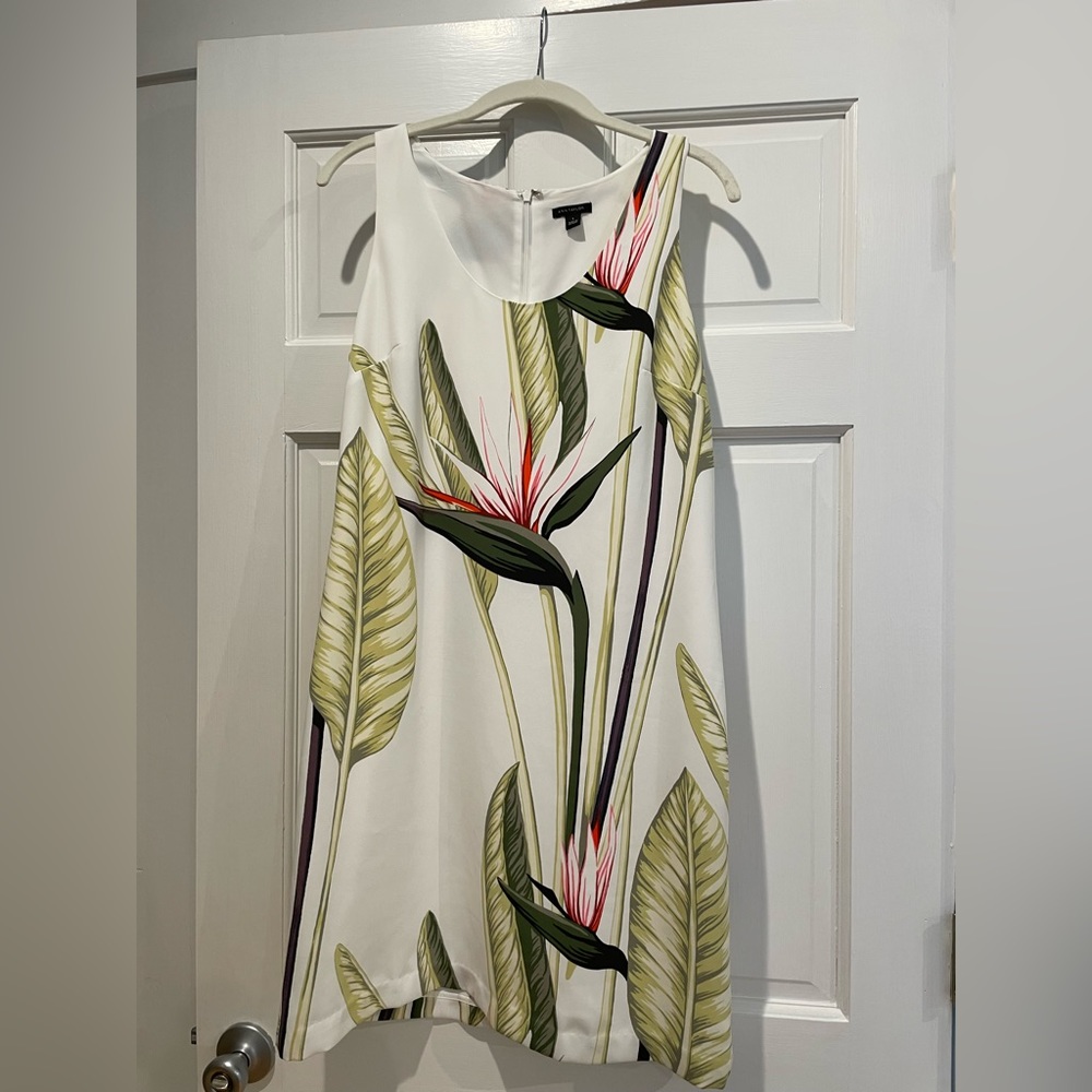 Ann Taylor Bird of Paradise Flower Shift Dress